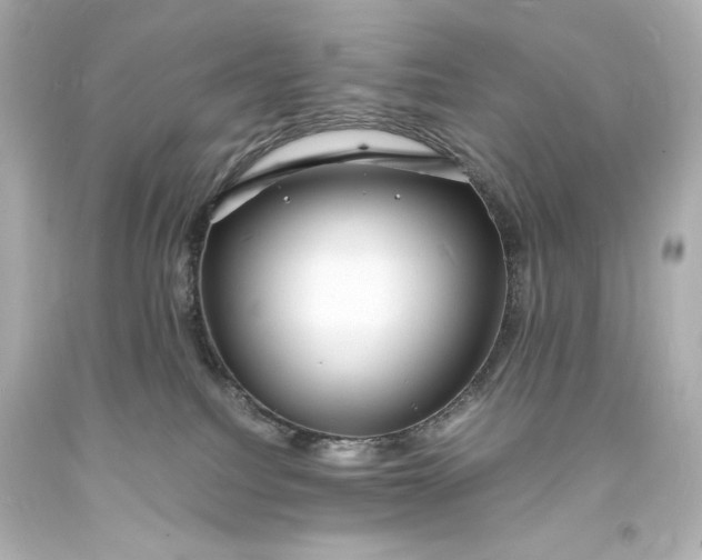 X0000094060088200711021456