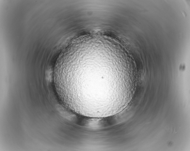 X0000094060090200711021456