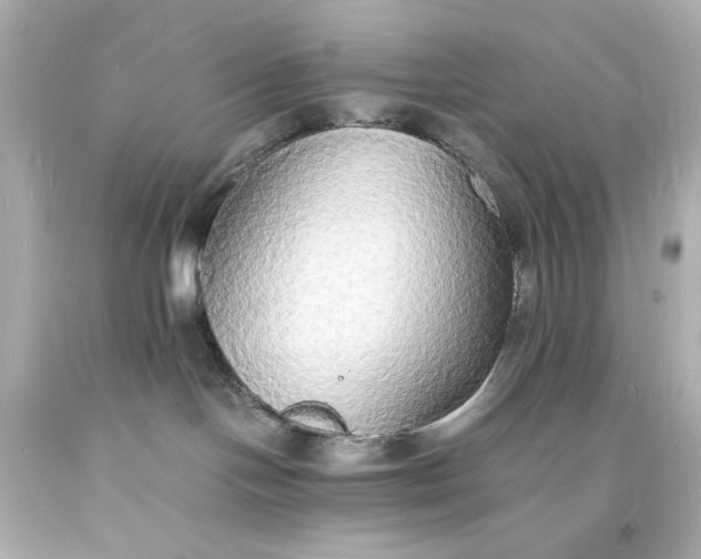 X0000094060094200711021456