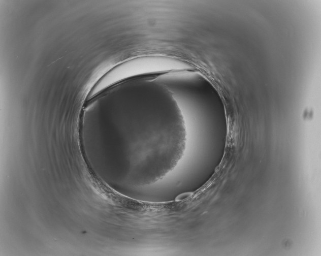 X0000094060099200711021455