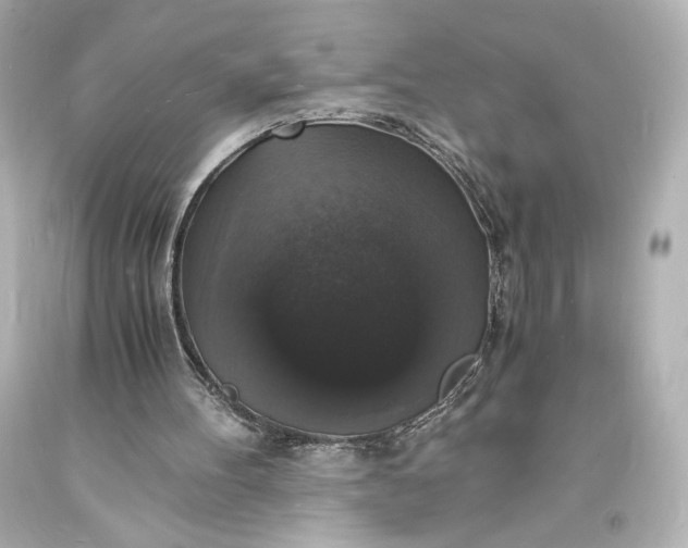 X0000094060100200711021455