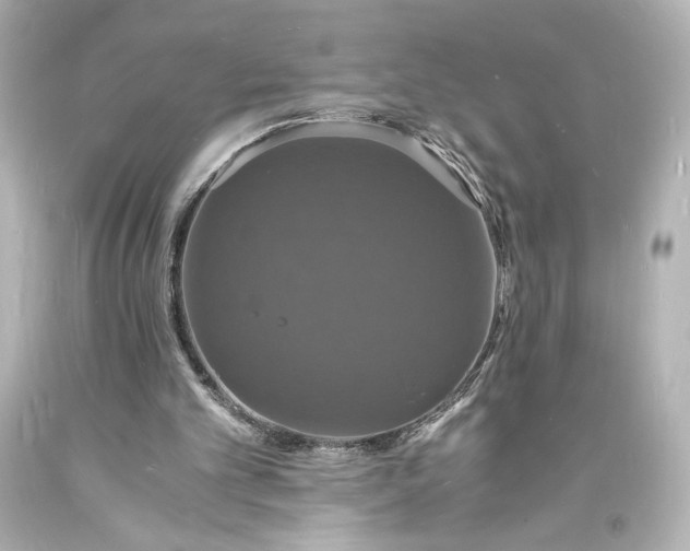 X0000094060101200711021455