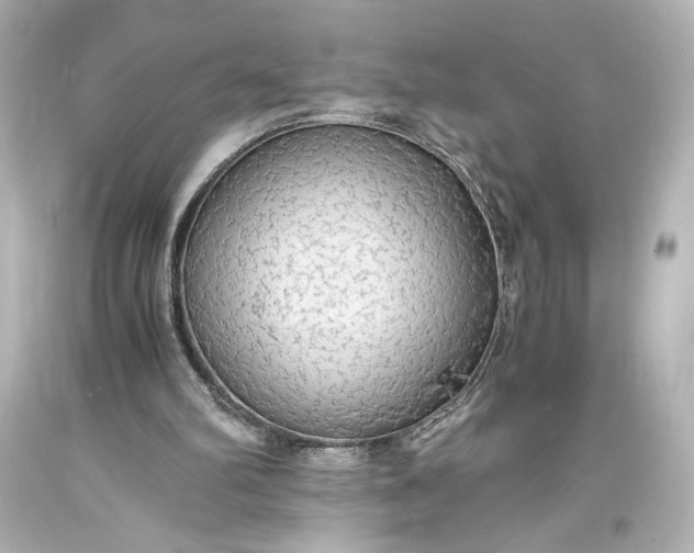 X0000094060102200711021455