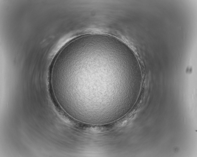 X0000094060103200711021455