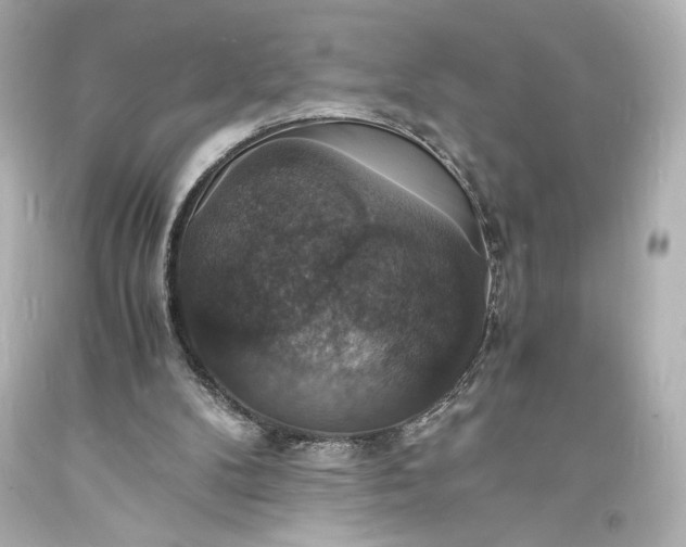 X0000094060104200711021455