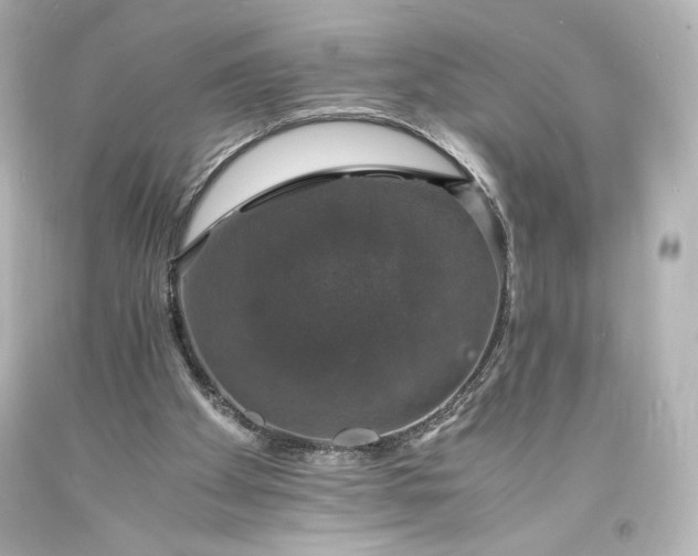 X0000094060105200711021455