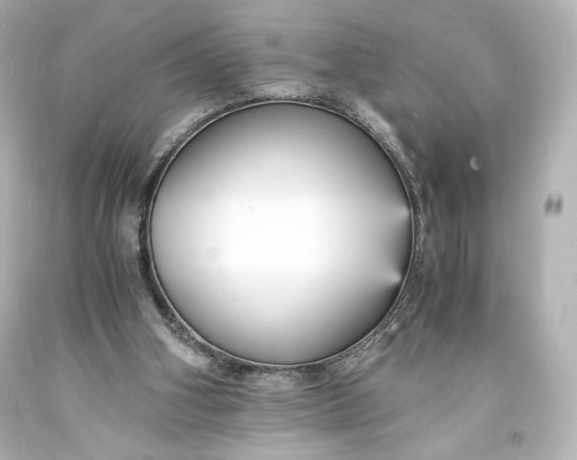 X0000094060106200711021455