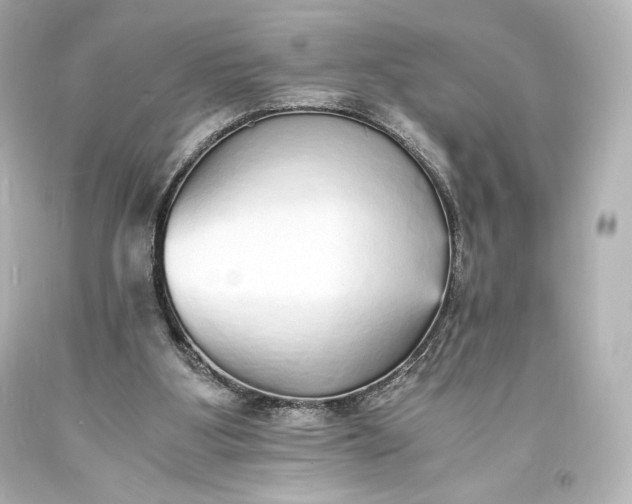 X0000094060107200711021455