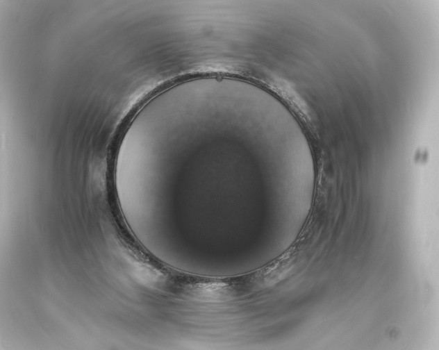 X0000094060108200711021455