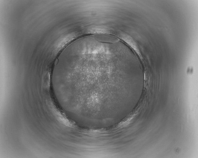 X0000094060109200711021455