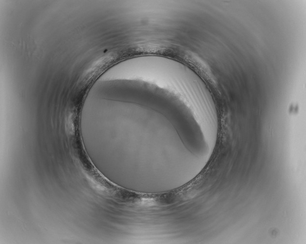 X0000094060114200711021455