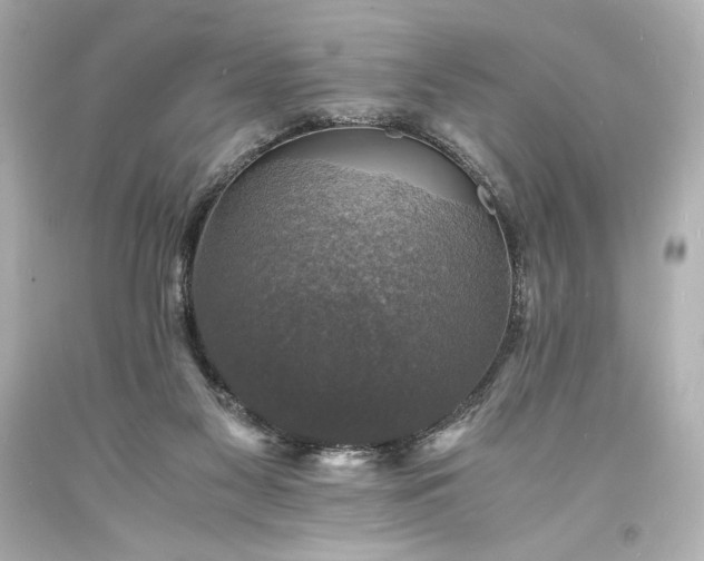 X0000094060117200711021455