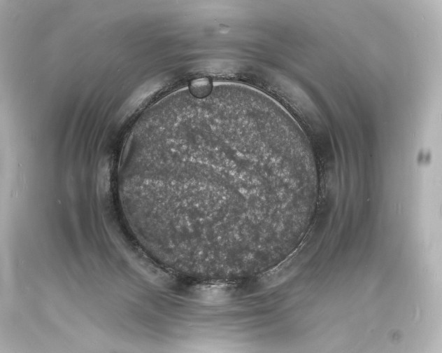 X0000094060120200711021455