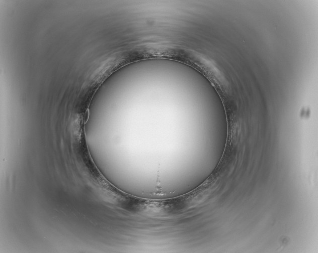 X0000094060121200711021455