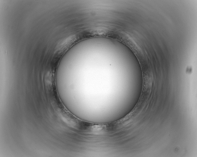 X0000094060126200711021455
