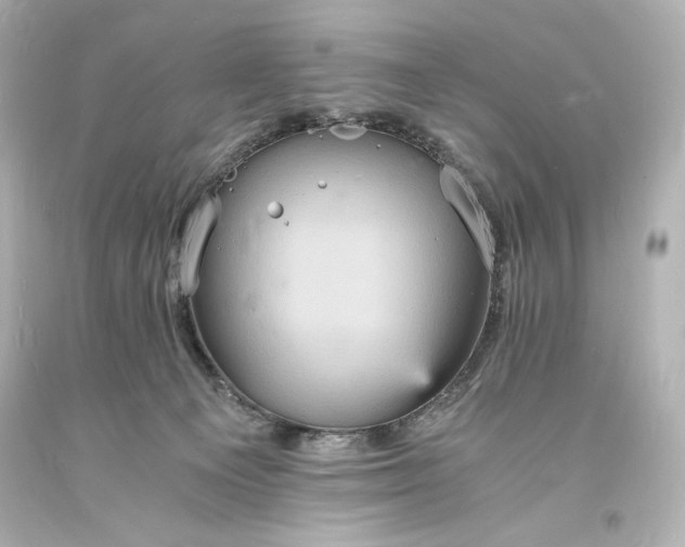 X0000094060129200711021455