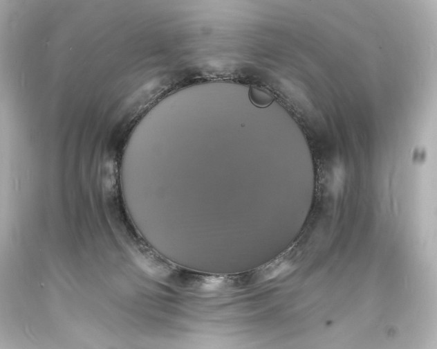 X0000094060130200711021455