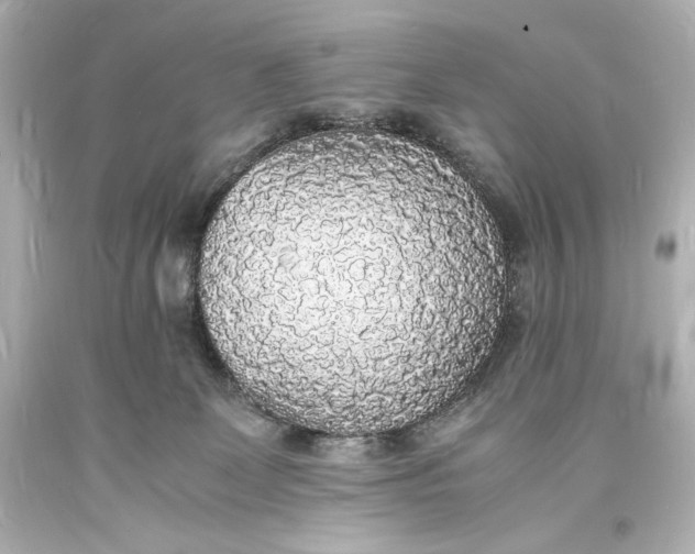 X0000094060131200711021455