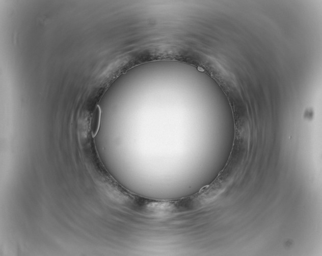 X0000094060133200711021455