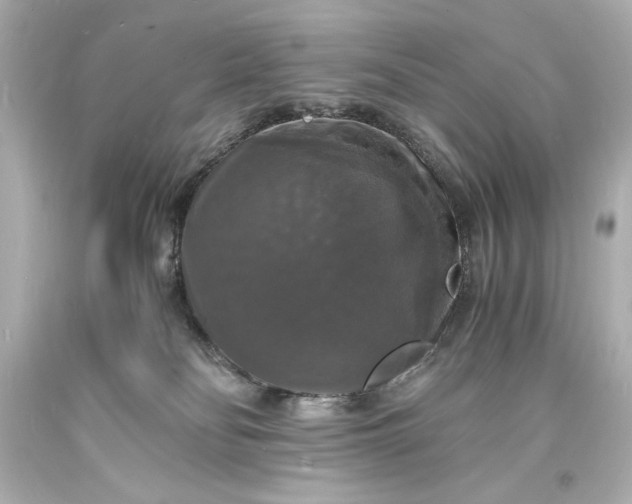 X0000094060134200711021455