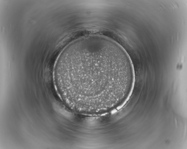 X0000094060136200711021455