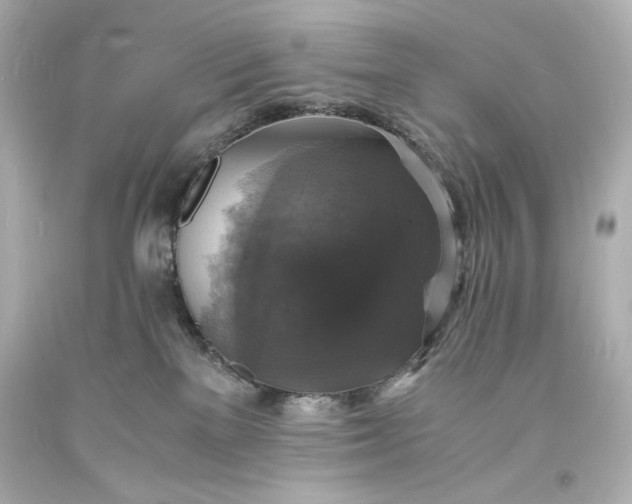 X0000094060137200711021455