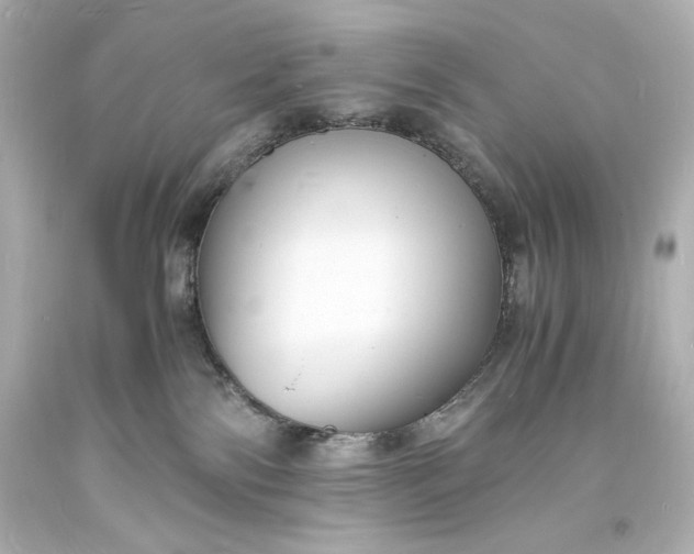 X0000094060138200711021455