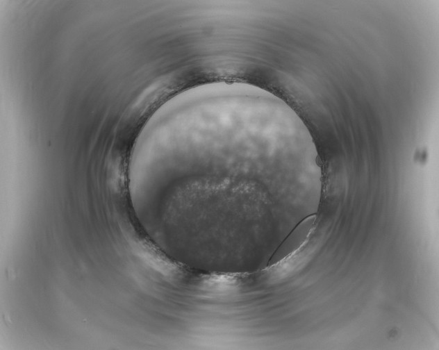 X0000094060140200711021454