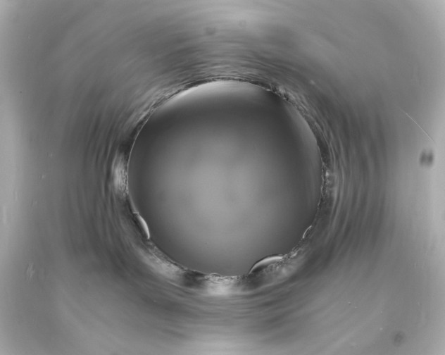 X0000094060143200711021454