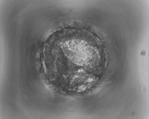 X0000094060144200711021454