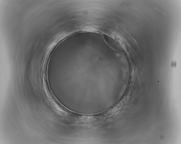 X0000094060145200711021454