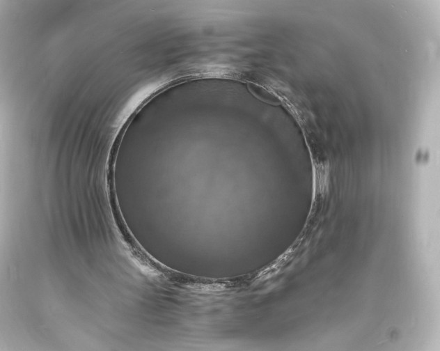 X0000094060147200711021454