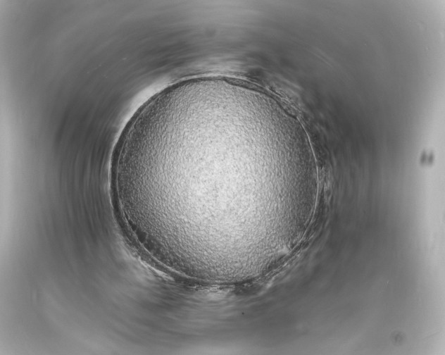 X0000094060148200711021454
