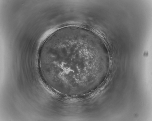 X0000094060149200711021454