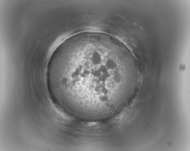 X0000094060151200711021454