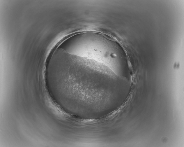X0000094060152200711021454