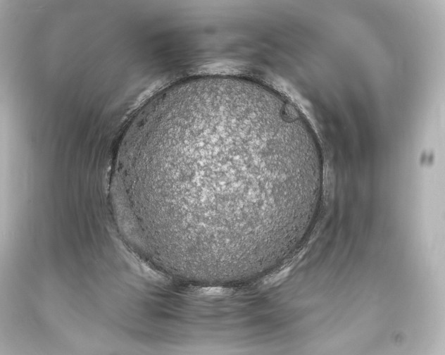 X0000094060153200711021454