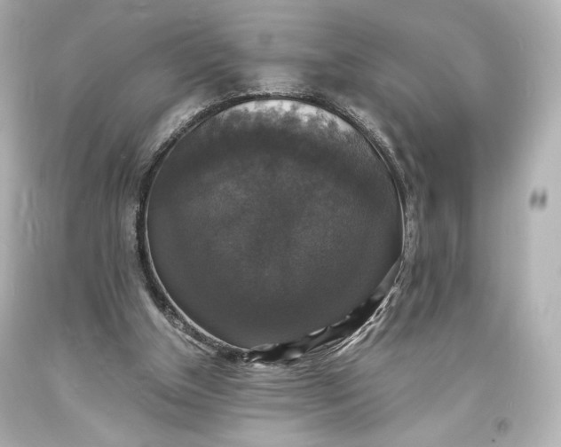 X0000094060154200711021454