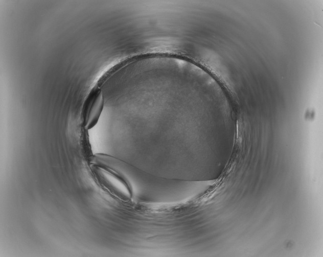X0000094060156200711021454