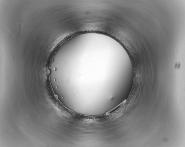 X0000094060160200711021454
