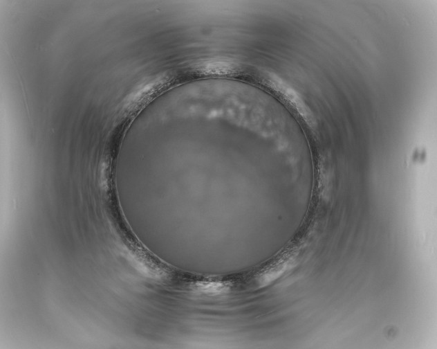 X0000094060161200711021454