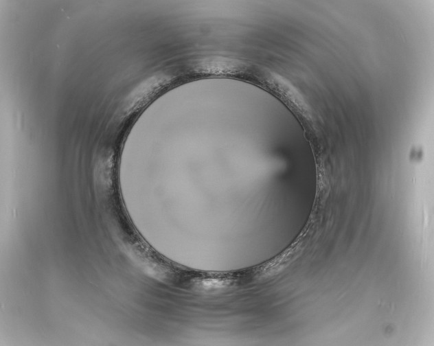 X0000094060163200711021454