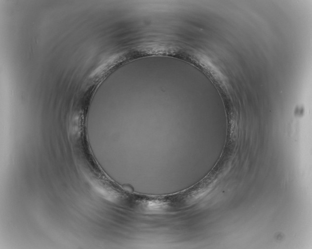 X0000094060165200711021454