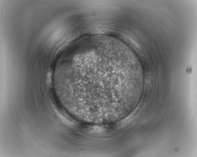 X0000094060166200711021454