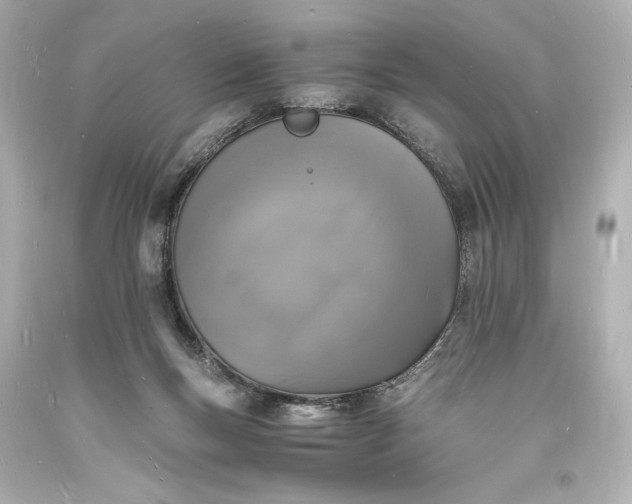X0000094060167200711021454