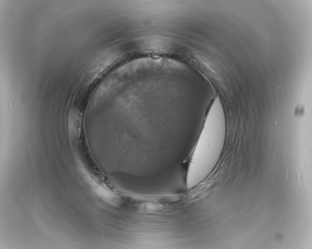 X0000094060168200711021454