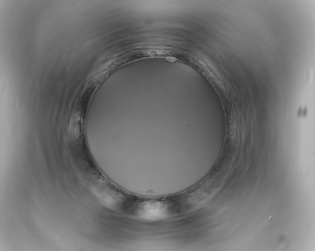 X0000094060169200711021454