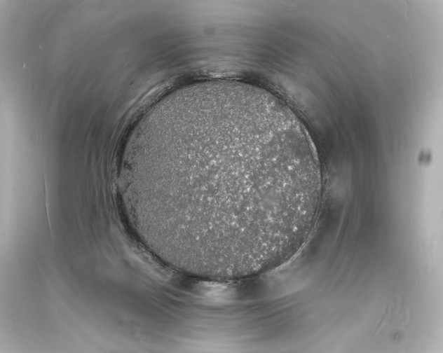 X0000094060170200711021454