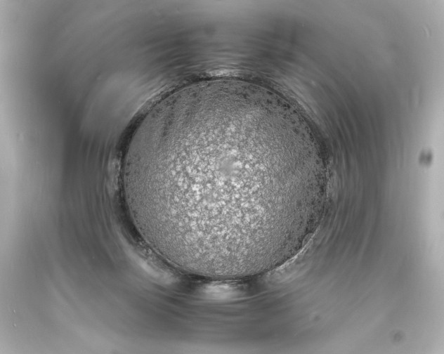 X0000094060171200711021454