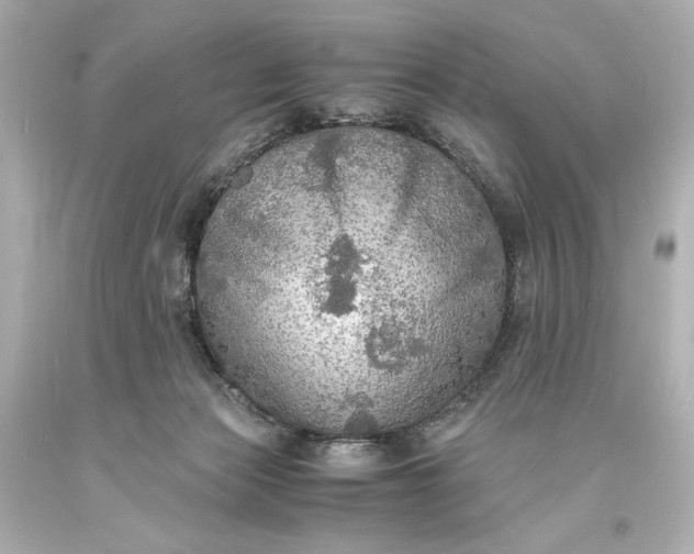 X0000094060173200711021454